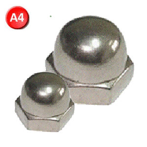 Dome Nuts. A4 Stainless