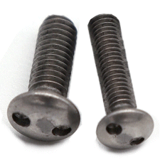 Raised Security Machine Screw 2 Hole A2 Stainless