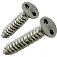 Security Screws 2 Hole Self Tapping Csk.