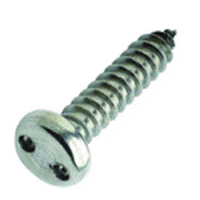 No.8 x 2 Security Self Tapping Screw, 2 Hole.