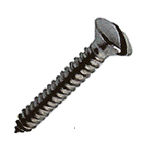No.8 x 3/4 Self Tapping Screw Raised Slotted A2 Stainless.