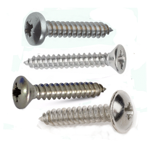 Stainless Self Tapping Screws.